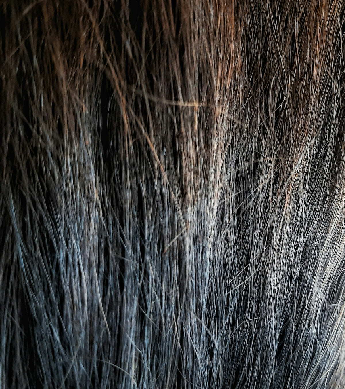 a close up of a woman's hair