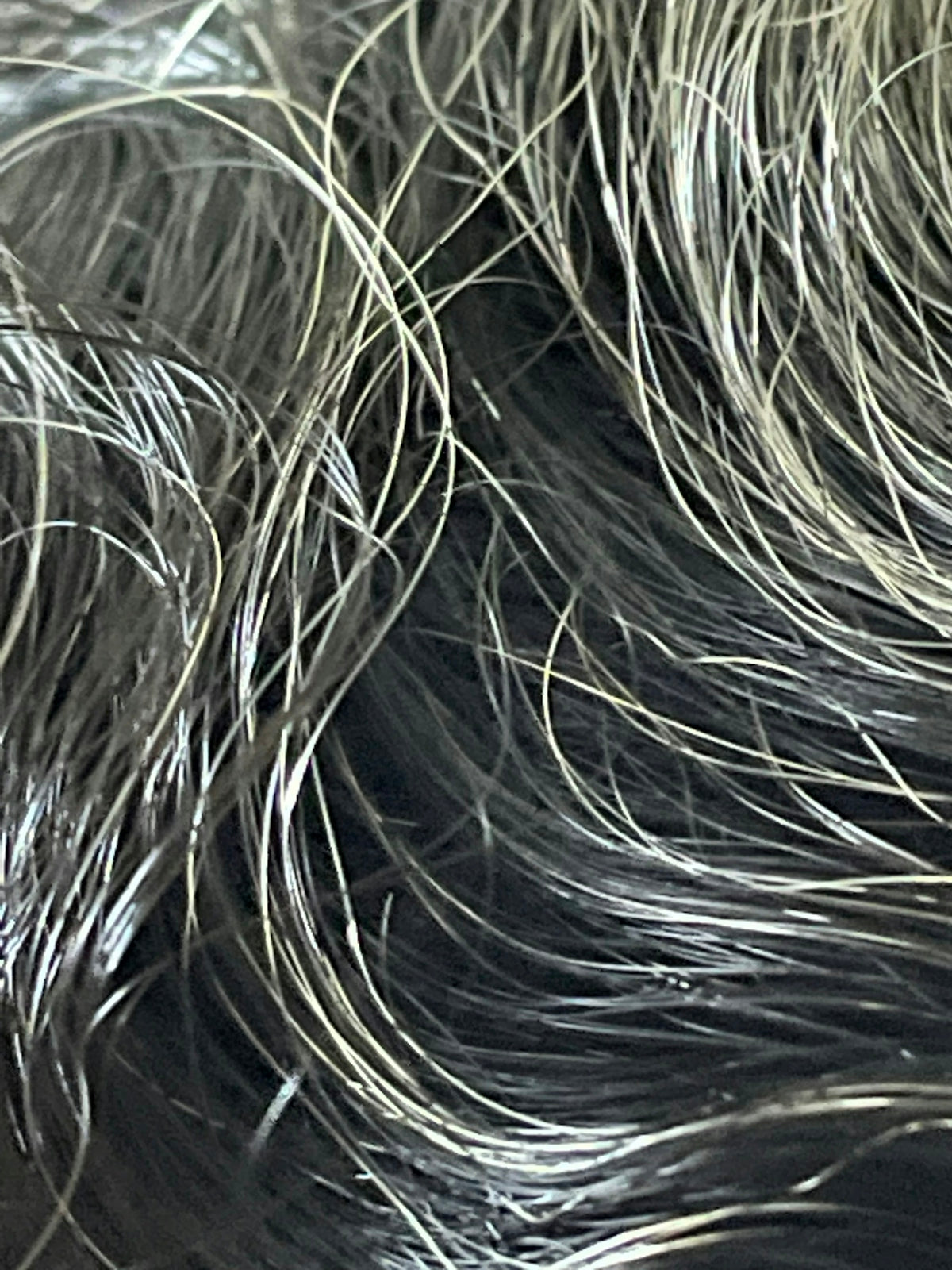 close-up of a person's hair