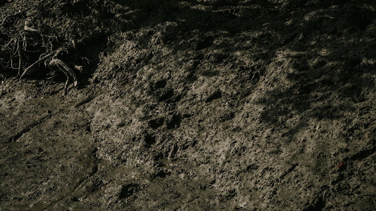 a black and white photo of a dirt hill